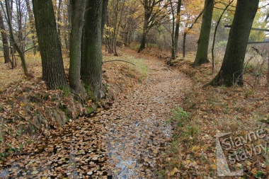 Zlatá stoka